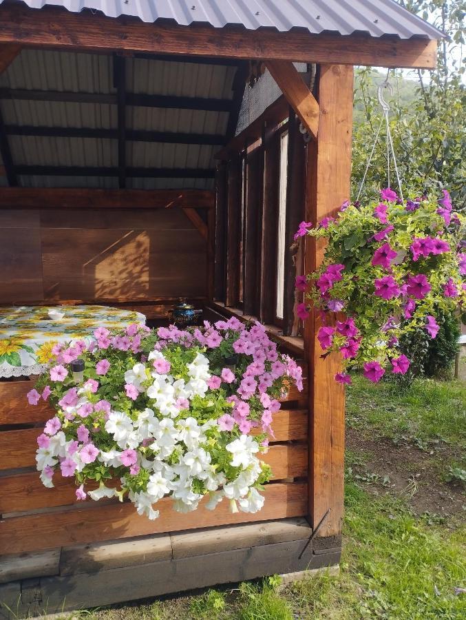 Карпати котедж Анастасія Сколе Экстерьер фото